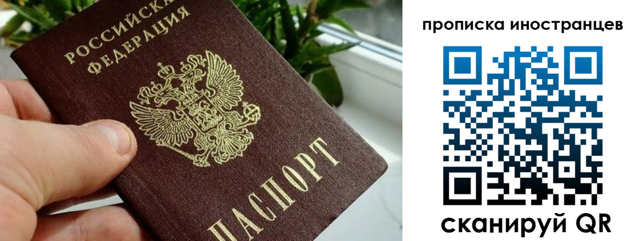 временная регистрация в Белой Холунице